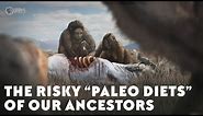 The Risky Paleo Diets of Our Ancestors