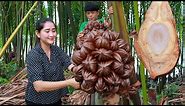 Nypa palm fruit harvest for eat | Nypa fruticans in my country | Nypa palm fruit special cook