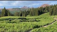 Mountain Biking World Famous 401 Trail | Crested Butte Colorado