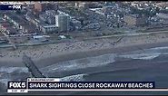 Shark sightings close Rockaway beaches