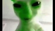 green alien cat original