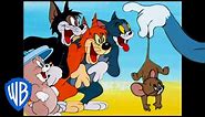 Tom & Jerry | What a Cat-astrophe! | Classic Cartoon Compilation | WB Kids