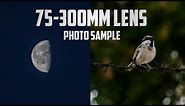 Canon 75-300mm lens Photo samples | 75-300mm lens review | Best photography lens | perfect capture