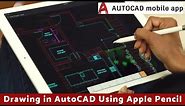 Drawing in AutoCAD Using Apple Pencil