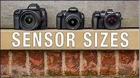 Camera Sensor Size Comparison – Which one is right for YOU?