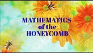 Mathematics of the Honeycomb