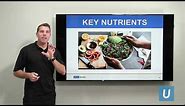 The Power of Nutrition | Luke Corey, RD, LDN | UCLAMDChat