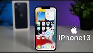 iPhone 13 - schimbări importante sau dezamăgire?