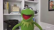 Kermit Reviews Kermit Memes | Muppets Now | Disney