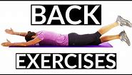 Beginners Back Exercises that Strengthen your Back