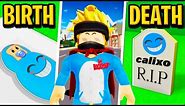 Birth To Death Of Calixo in Roblox Brookhaven RP!! (The Movie)