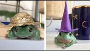 Adorable Pet Frogs Wear Hats