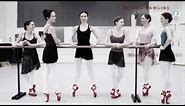 Bloch - The Red Pointe Shoe Project