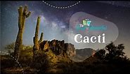 Cacti | Fun Facts About Cacti | Botany | The Good and the Beautiful