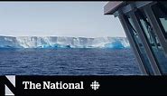 World's largest iceberg now drifting in open water