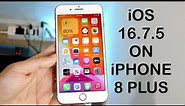 iOS 16.7.5 On iPhone 8 Plus! (Review)