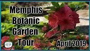 Memphis Botanic Garden - April 2019