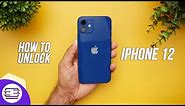 How to Unlock iPhone 12 and Use it with any Carrier