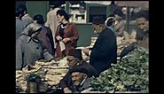 Sarajevo 1973 archive footage