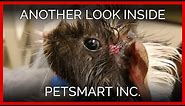 Another Look Inside PetSmart, Inc.: A PETA Eyewitness Exposé