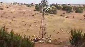 Aermotor Windmills