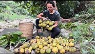 Harvest piglets, chicks, fruits Goes to market sell - Vàng Hoa
