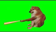 chó Shiba cầm gậy meme nền xanh ghép vào video