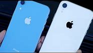 Apple iPhone XR: White or Blue?