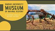 The KU Natural History Museum: A Treasure Trove of Natural History