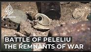 Japan searches for WWII soldiers' remains on Peleliu