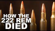 Cartridges That Killed the 222 Remington