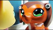 Littlest Pet Shop: Popular (Episode #12: The Rise and Fall of Brooke Hayes)