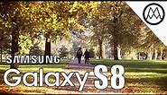 Samsung Galaxy S8 Cinematic 4K Camera Test