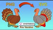 Convert Any Image Into An SVG File With SvgTrace Pro