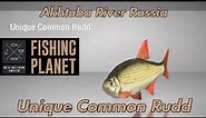 Unique Common Rudd - Akhtuba River Russia - Fishing Planet Guide