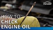 How to check your car's engine oil at home @carsales