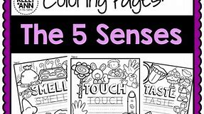 5 Senses Worksheets - Science Vocabulary Coloring Pages