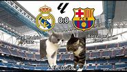 CAT MEMES FOOTBALL - Real Madrid VS Barcelona | La Liga 23/24 El Clasico Highlights