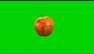 Apple 🍎 Fruit Animation Stock footage Green Screen video HD