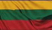 Lithuania Flag Waving Animation / free 4k stock footage