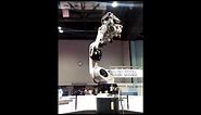 Robotic arm ride