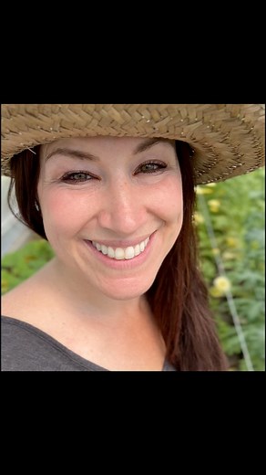 What do you need to know about sunflowers 🌻 #palmeralaska#anchorage#fairbanksalaska #kenaialaska #juneaualaska #valdezalaska#wasillaalaska #alaskagardening #permaculture#gardenseeds#ecologicalseed#ecogarden #alaskaseed#alaskaseeds#alaskagrown #seedsandsoilfarm#alaskaflowers | Seeds and Soil Farm, Alaska's Seed Company