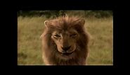 LA 10,000 BC [2004] - American Lion Screen Time