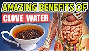 Top 10 Amazing Benefits Of Clove Water And How To Make It