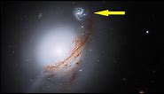 NASA's Hubble Space Telescope Views A Beautiful Luminous Seyfert Galaxy NGC 5283 Containing AGN