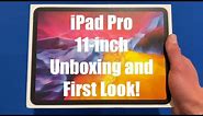 iPad Pro 11-inch (2nd Generation, 2020) Unboxing and First Look!