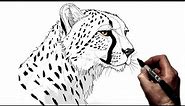 How To Draw A Cheetah (Side) | Step By Step