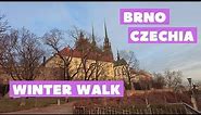 [4K] 🇨🇿 #Brno, Czech Republic | Winter City Center Walk | Petrov Hill | Panoramic View | City Sounds