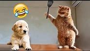 New Year's Eve Cat-tastrophe 2024: Hilarious Kitty Countdown! 🎉 😻 Best Funny Cats and Dogs Animals
