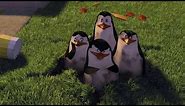 DreamWorks Madagascar | You Didn't See Anything. Right? | Madagascar Movie Clip